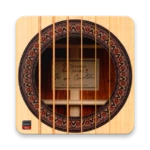 Logo of Absolute Guitar android Application 